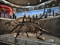 -国家自然博物馆