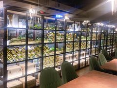 -Oasis Bar & Grill