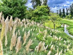 -深圳大学总医院