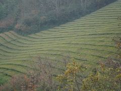 -敬亭山风景名胜区