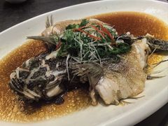 -骏莱海鲜鱼港(五角场店)