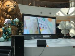 -棕榈MALL