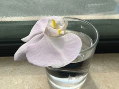 -星巴克臻选(宁波北仑银泰城店)