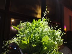 -霸王虾·小龙虾香辣蟹(玉林店)