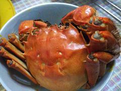 -丫丫蟹庄·苏式园林农家乐·阳澄湖大闸蟹(阳澄湖莲花岛店)