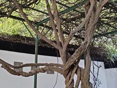 -中国昆曲博物馆