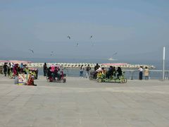 -东港音乐喷泉广场