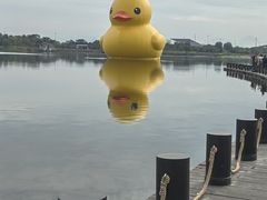 -深圳人才公园