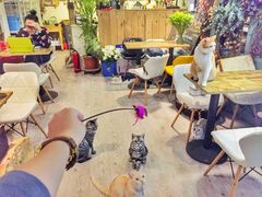 -小时光咖啡馆(北锣鼓巷店)