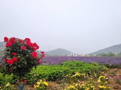 -西海岸生态观光园