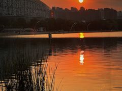 -天鹅湖体育公园