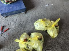 -马陆小张葡萄园农家乐