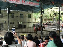 -广东茂名森林公园