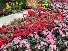 -石家庄市植物园