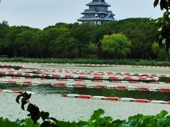 -金鸡湖桃花岛