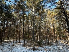 -帽儿山国家森林公园