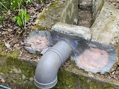 -三门江国家森林公园