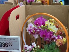 -盒马X会员店(上海森兰商都店)