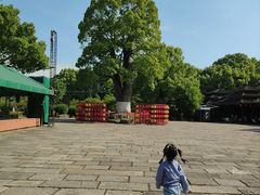-韩湘水博园