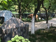 -无锡动物园·太湖欢乐园
