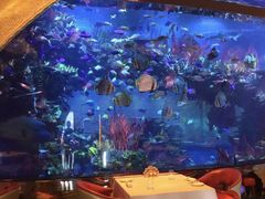 -迪拜帆船酒店海底餐厅