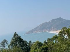 -广东惠东海龟国家级自然保护区