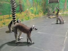 -西安秦岭野生动物园