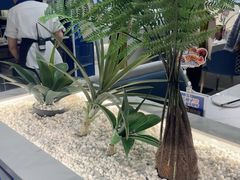 -兰湘子·湘菜小炒(崂山丽达店)