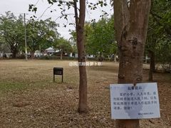 -滴水岩森林公园