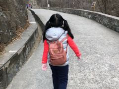 -北京上方山国家森林公园