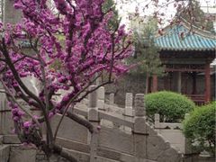 iphone_upload_pic-西安化觉巷清真大寺