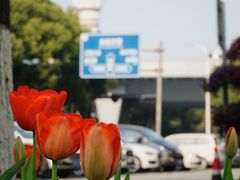 -杭州萧山国际机场