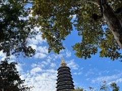 -常州天宁禅寺