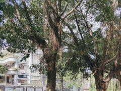 -黄埔古港