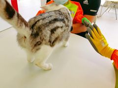 -怪兽屋·羊驼·猫咖·狗咖(俊华广场店)