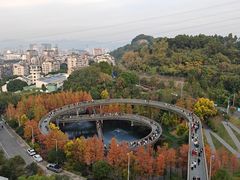 -福道
