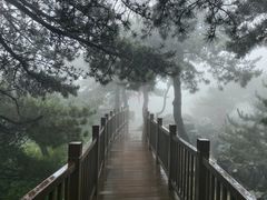 -王莽岭风景区