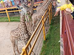 -西霞口神雕山野生动物世界