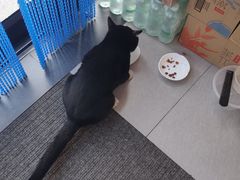 -东方宫中国兰州牛肉拉面(新起街店)