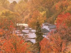 -塔川景区
