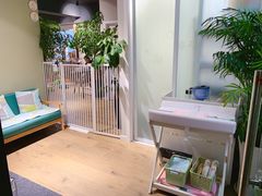 -东方名猫馆·英短金渐层布偶猫舍(环线广场1号楼店)