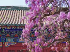 -孔庙和国子监博物馆