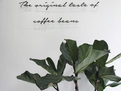 -red donkey coffee