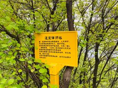 -沣峪森林公园龙潭戏水景区