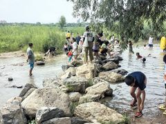 -绿堤公园