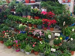 -无锡文化工艺品市场(槐古路店)
