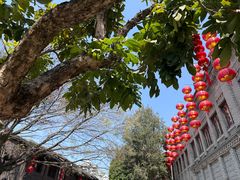 -三坊七巷历史文化街区