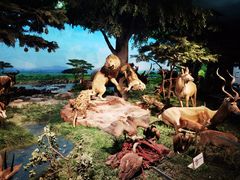 -国家自然博物馆