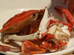 -日月昇渔家菜·海肠捞饭·大连海鲜(星海公园店)