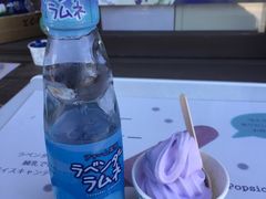 -富田农场
